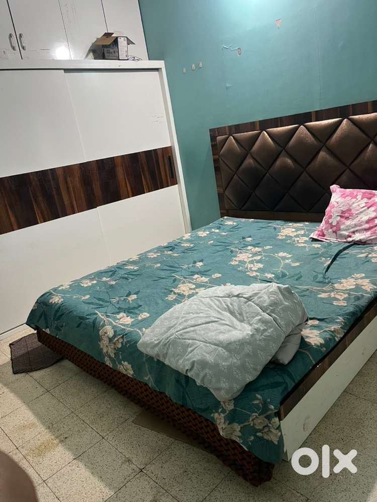 4000 rent female partner need