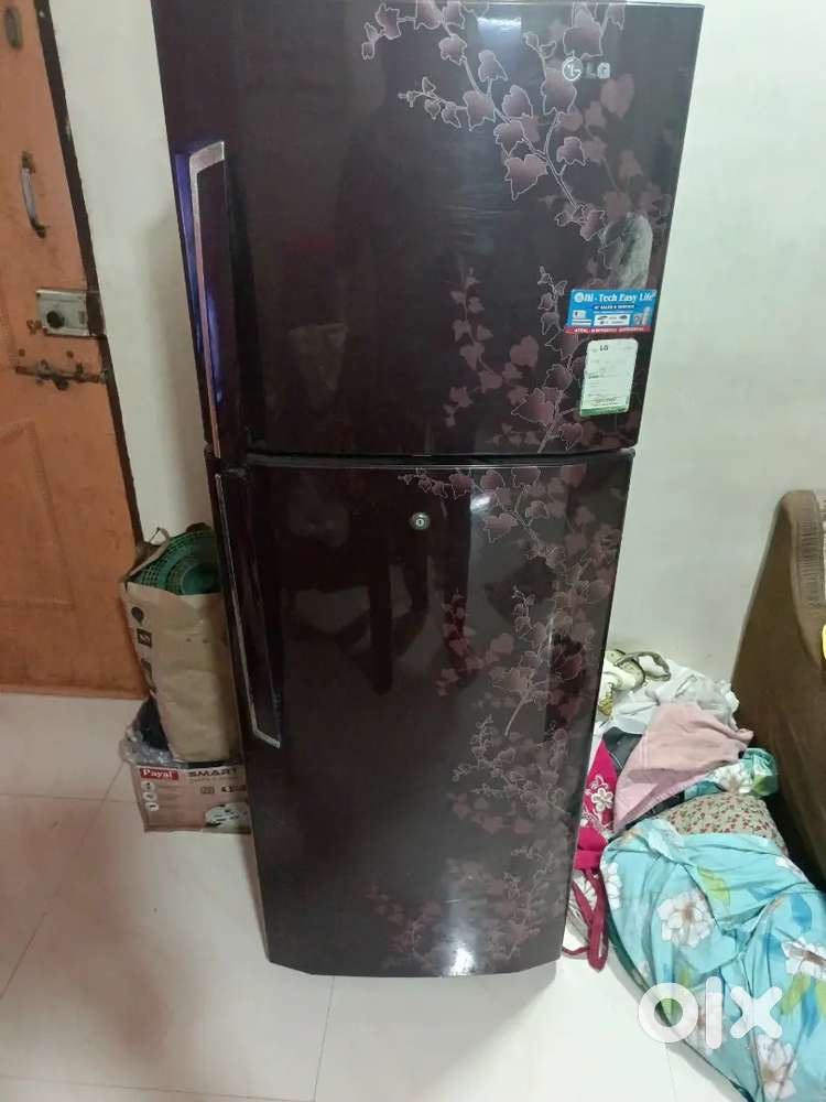 LG fridge double door
