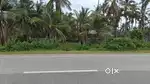 I want to sell my agriculture land