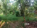 One acre land with house