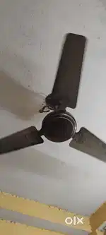 Toofan apsra brown ceiling fan
