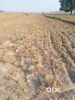 I want sale my plot