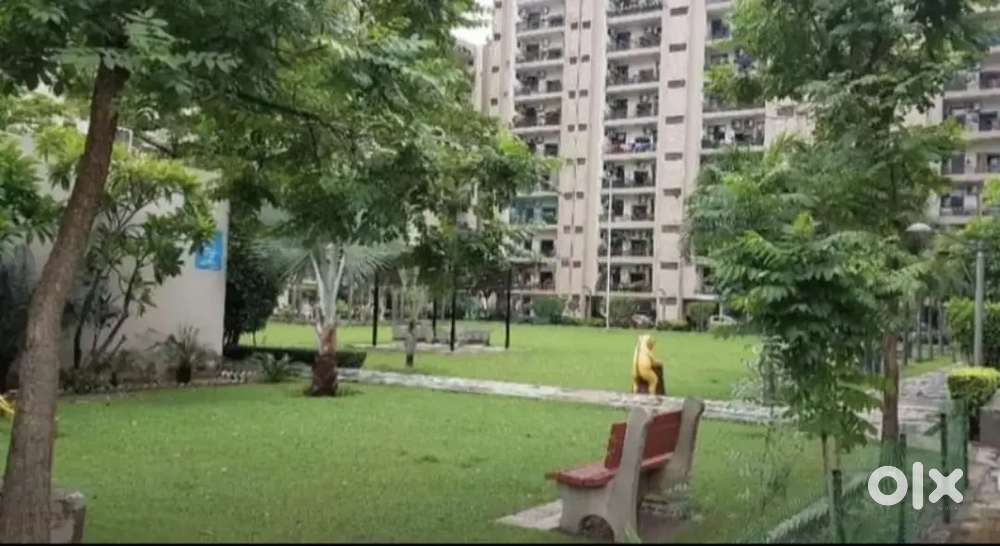 Flat available on rent in oper garden