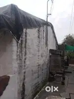House no 619