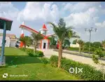 Plots available