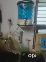 Blue plastic dolphin Ro water purifier , for Home capactiy