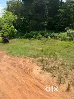 5 CENT PLOT FOR SALE. CENT 4 LAKHS  ALUVA CHOWARA