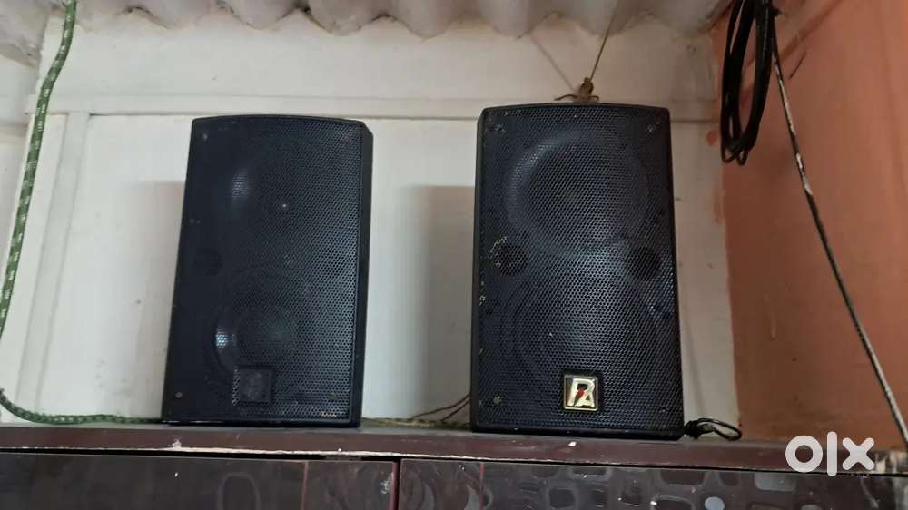 P Audio Spekers pair.  15inch