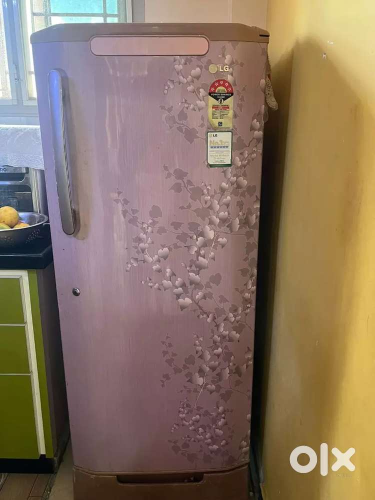 OLG electricity consumption