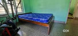 Cot with new mattresses