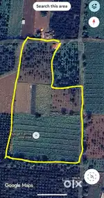 FARM FOR SALE