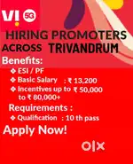 Sales Promoters