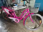 Hazel ladybird bicycle