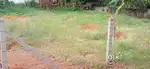 Kanimangalam 8 Cent plot For Sale Per cent 5,00,000