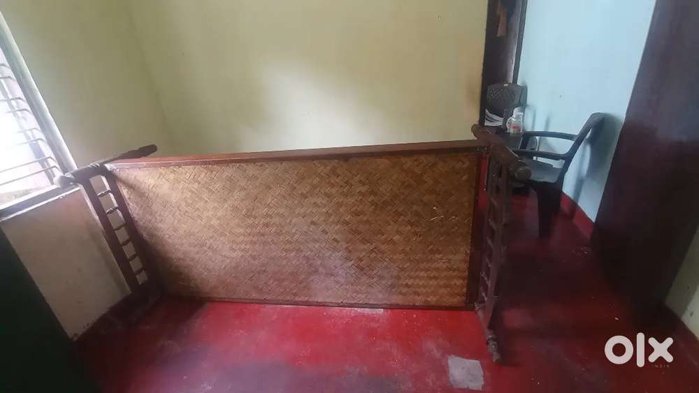 Single coat bed ( coconut)