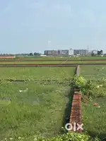 Plots availables