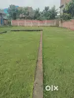 Rajgir naipokhar