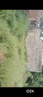 Masjid k aage bhout saste bhao m