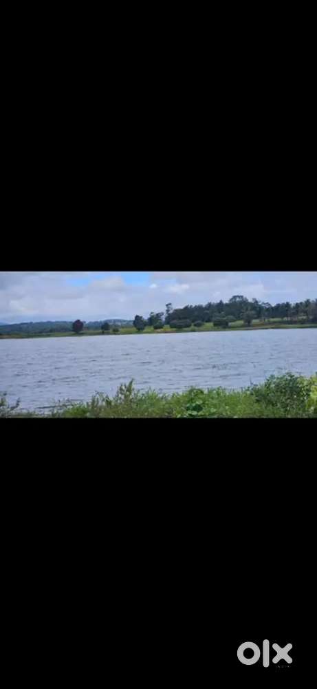 Scenic view backwater touch mango plantation near hassan ideal farmhou