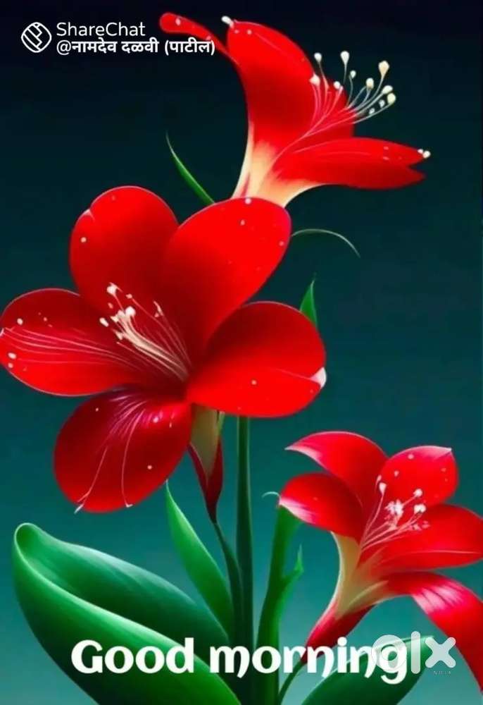 Maruti Suzuki S-Cross 2016