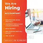 Accountant