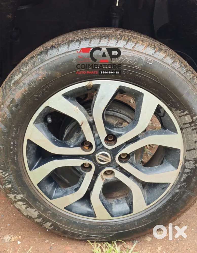 Terrano Alloys Available