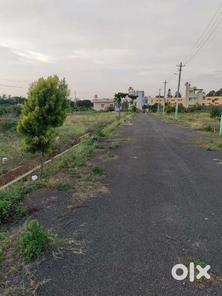East facing site with 30 feet road and drainage