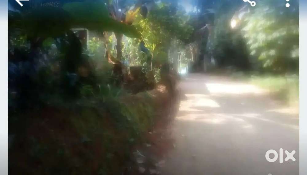 Venganoor near venniyoor 23 cent for sale