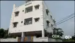 Individual House