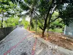Aluva Paravoorkavala highway 300metr 5cent cent 10.5lakh