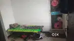 Only bachlor accompany