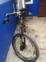 Caya cycle