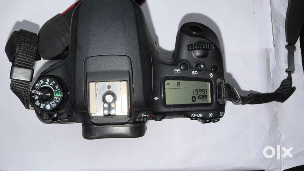 Canoon EOS 77D, Canoon 55/250 Lence, 50mm Prime Lence,