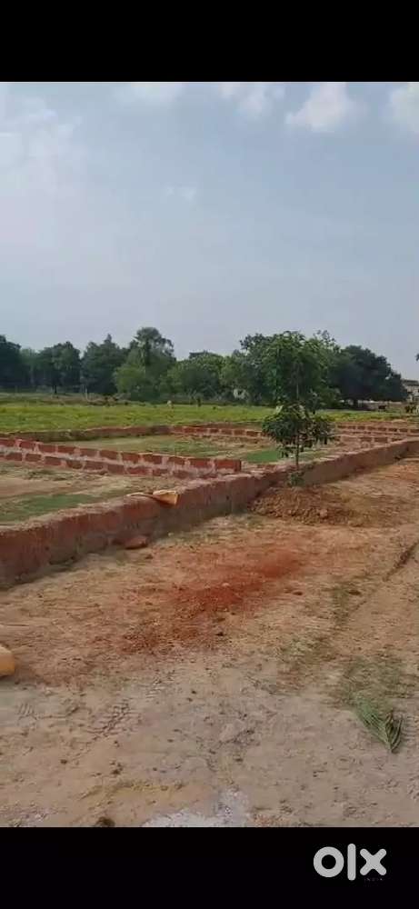 Trinathbazar gharabari plot