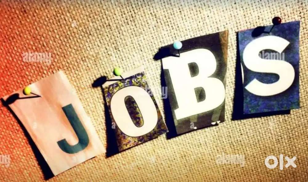 Personal Assistant (female) only