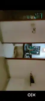 Urgently Need girl roommate