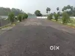 Premium fully developed VMRDA Residential plots near Raghu college