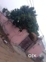2 plots sale in Satyampuram colony Jharoda border