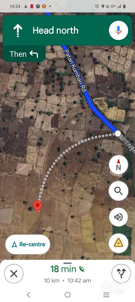 अमलेश्वर से 10 किमी की दूरी पर झीट में  खेत