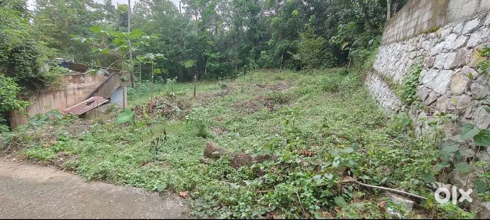 16 cent plot for sale  near nedumangad