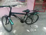 8 month old cycle sale
