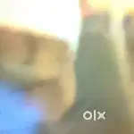 Milk delivery boy