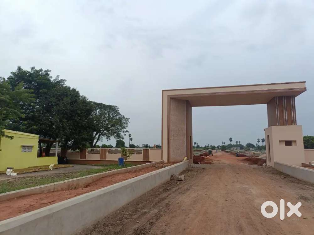 Low cost plot for sale in Vijayawada Kankipadu