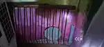 Old wooden door & wind0ws,also one tina widow also small  matal window