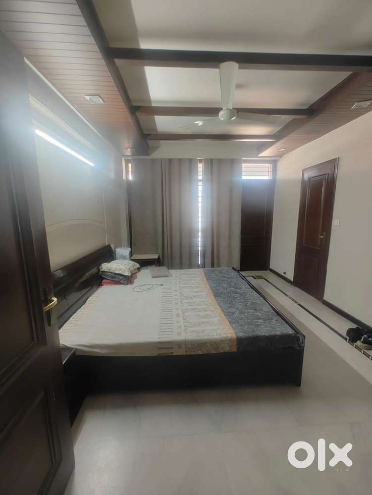 for rent fully furnished 2 bhk for family sector 36