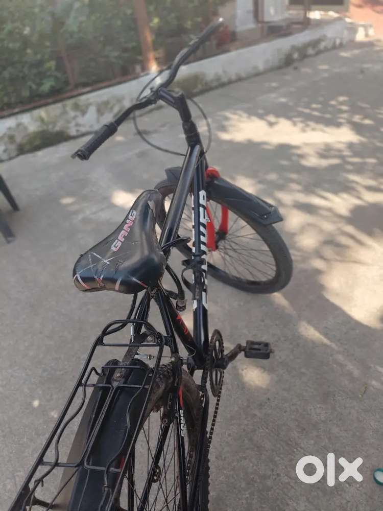 Gang Strike model cycle