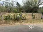 Plot for Sale in Palakkad Chitali