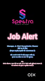 Need a junior chef (Male or Female)