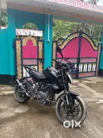 black beast