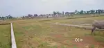 We have more plots under your budget